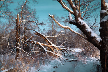 Similar image 890383