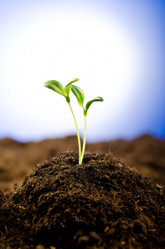 Similar image 890403