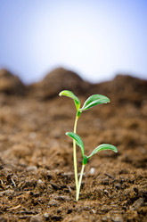 Similar image 890404