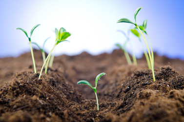 Similar image 890416