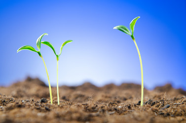 Similar image 890422