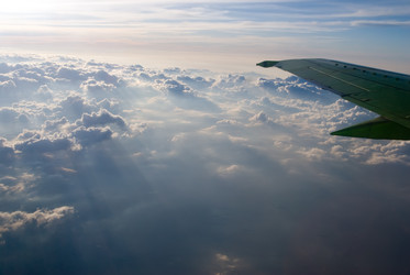 Similar image 890455