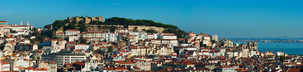 Similar image 890503