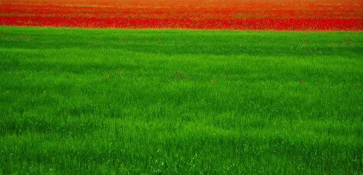 Similar image 890547