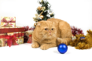 Similar image 890651