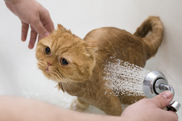 Similar image 890672