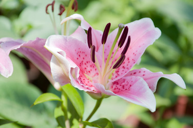 Similar image 890681