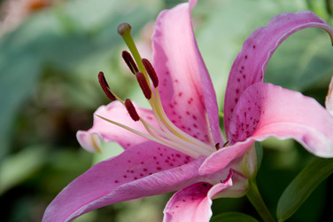 Similar image 890684