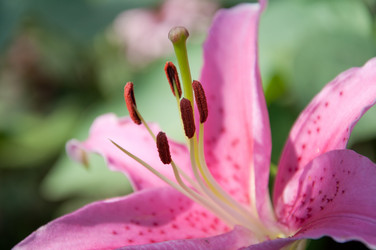 Similar image 890686