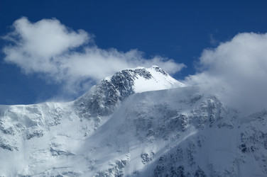 Similar image 890710