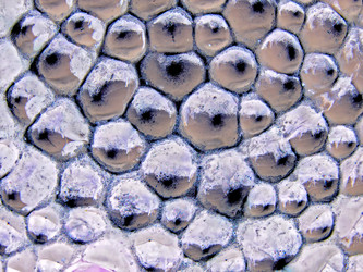 Similar image 890720