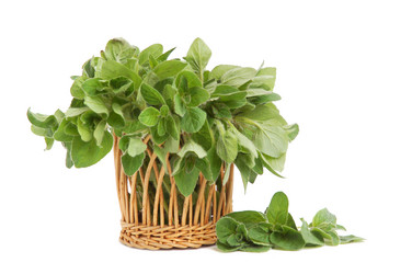 Similar image 890724