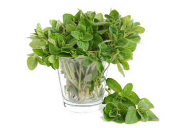 Similar image 890730