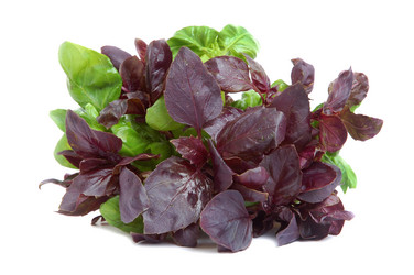 Similar image 890747