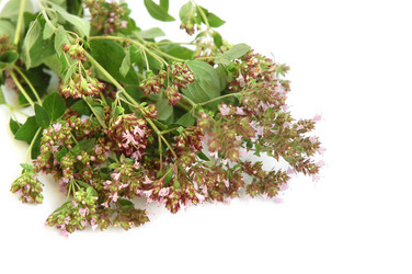 Similar image 890766