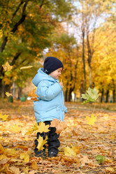 Similar image 891118