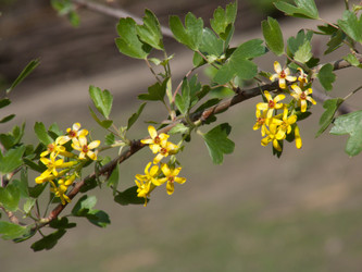 Similar image 891133