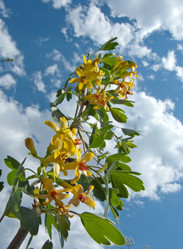 Similar image 891149