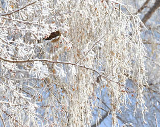 Similar image 891181