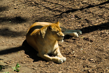 Similar image 891205