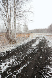 Similar image 891277