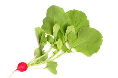 Similar image 891356