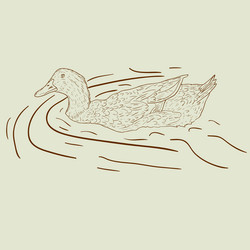 Similar image 891377