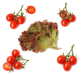 Similar image 891378