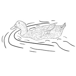 Similar image 891381