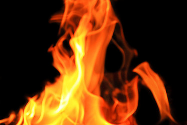 Similar image 891477