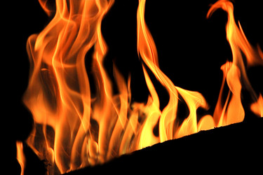 Similar image 891481