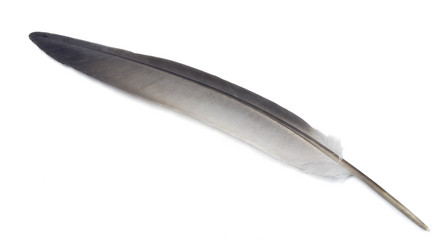 Similar image 891699