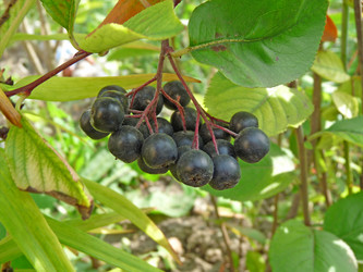 Similar image 891723