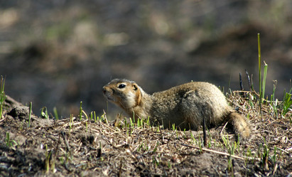 Similar image 891777