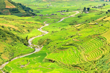 Similar image 891873