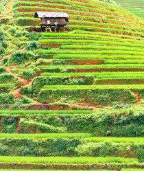 Similar image 891881