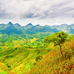 Similar image 891889