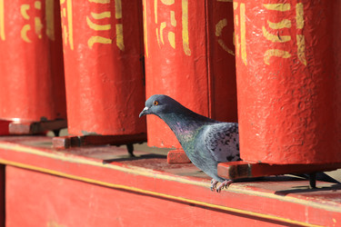 Similar image 891901