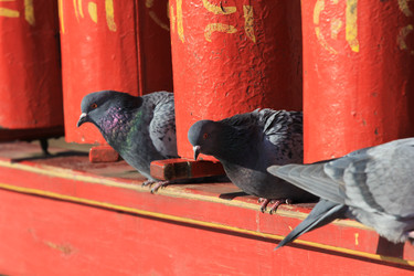 Similar image 891903