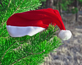 Similar image 891908