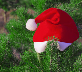 Similar image 891912