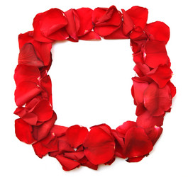 Similar image 891943