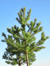 Similar image 891977