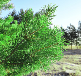 Similar image 891984