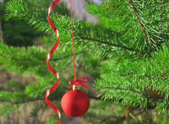 Similar image 891989