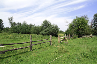 Similar image 891991