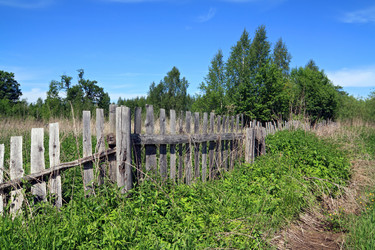 Similar image 891992