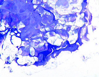 Similar image 891995