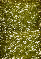 Similar image 891997