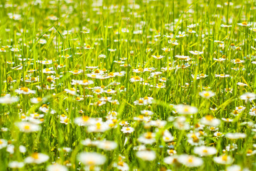 Similar image 892008